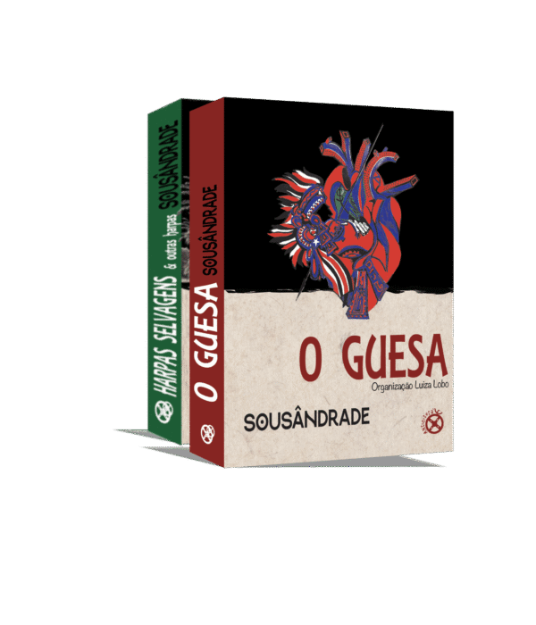 Poesia Completa - Sousândrade (O Guesa+Harpas Selvagens e outras Harpas)