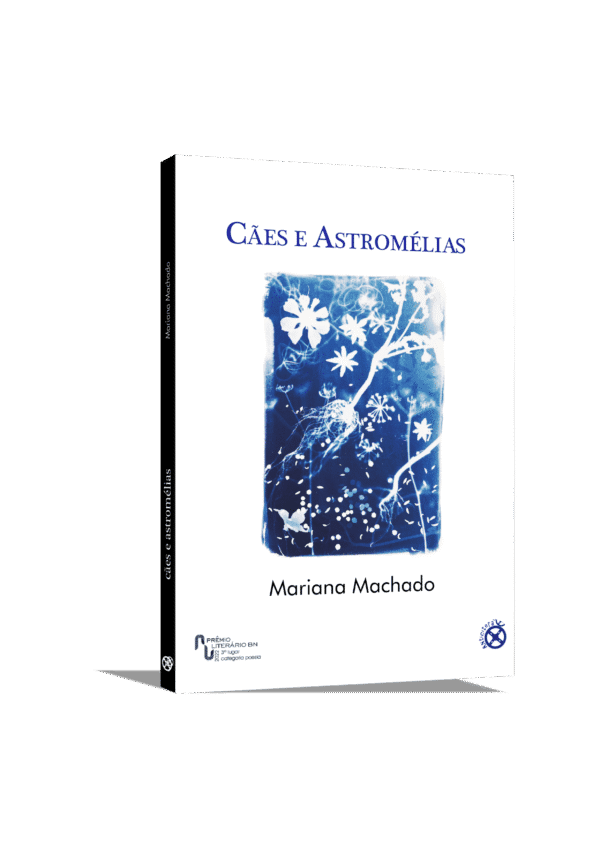 Cães e Astromélias