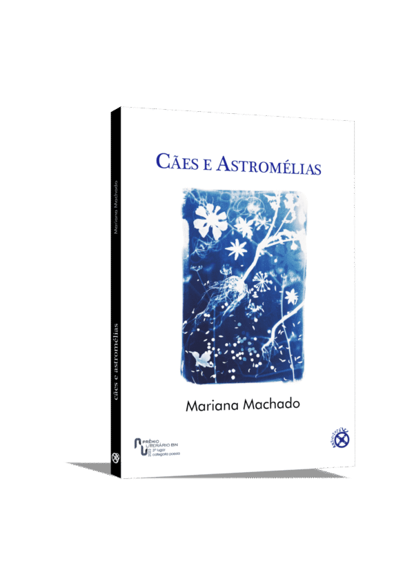 Cães e Astromélias
